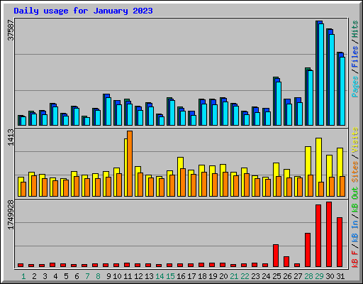 Daily usage for January 2023
