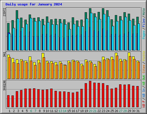 Daily usage for January 2024
