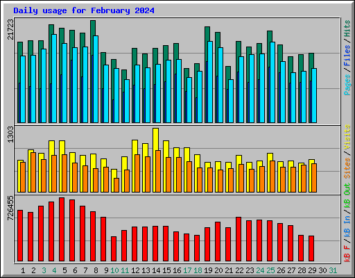 Daily usage for February 2024