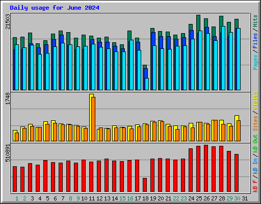 Daily usage for June 2024