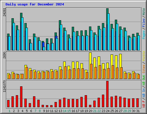 Daily usage for December 2024
