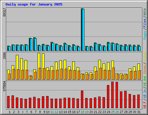 Daily usage for January 2025