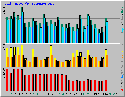Daily usage for February 2025