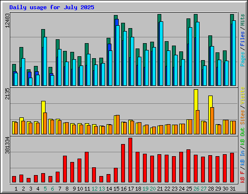 Daily usage for July 2025