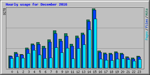 Hourly usage for December 2016