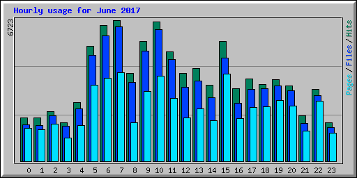Hourly usage for June 2017