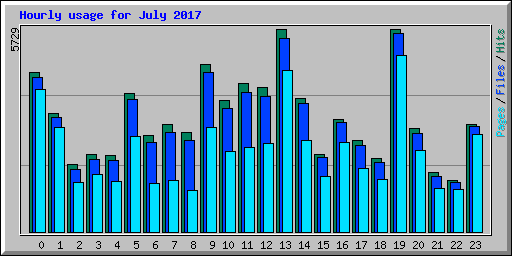 Hourly usage for July 2017