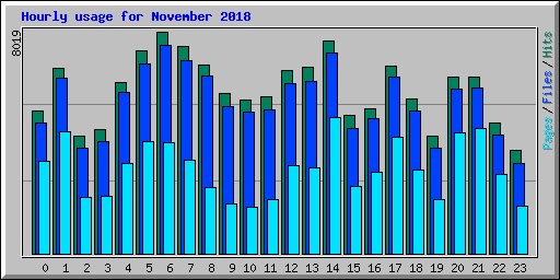 Hourly usage for November 2018