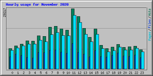 Hourly usage for November 2020