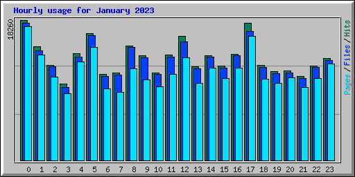 Hourly usage for January 2023