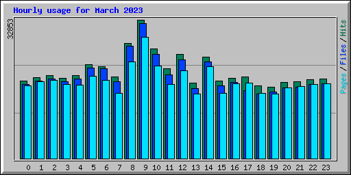 Hourly usage for March 2023