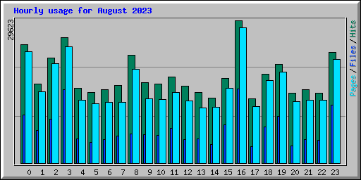 Hourly usage for August 2023