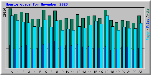 Hourly usage for November 2023