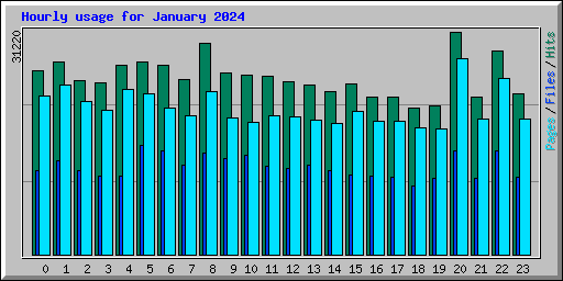 Hourly usage for January 2024