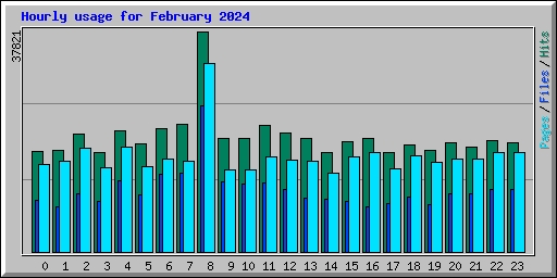 Hourly usage for February 2024