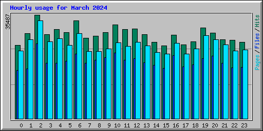 Hourly usage for March 2024