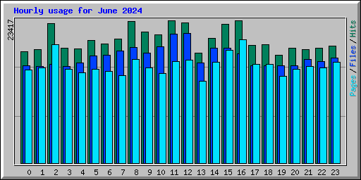 Hourly usage for June 2024