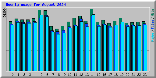 Hourly usage for August 2024