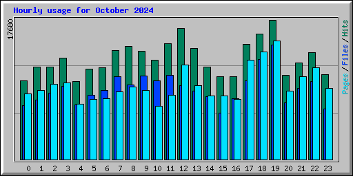 Hourly usage for October 2024