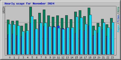 Hourly usage for November 2024