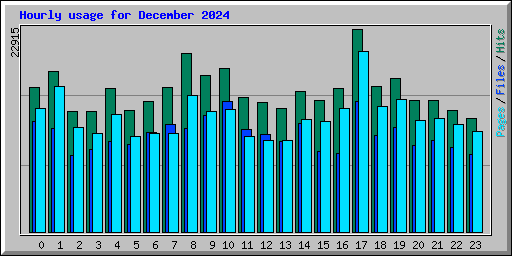 Hourly usage for December 2024
