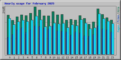 Hourly usage for February 2025