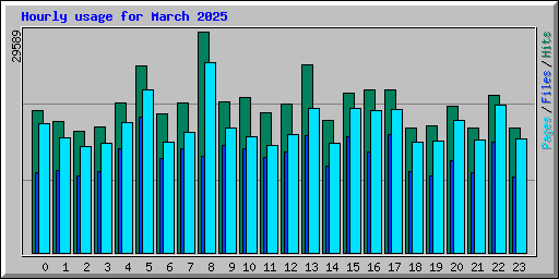 Hourly usage for March 2025