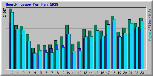 Hourly usage for May 2025