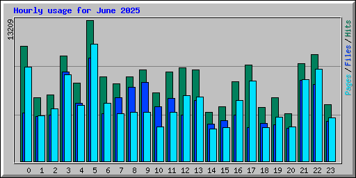 Hourly usage for June 2025