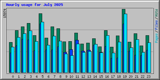 Hourly usage for July 2025