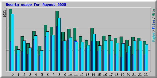 Hourly usage for August 2025