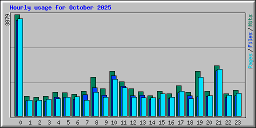 Hourly usage for October 2025