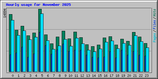 Hourly usage for November 2025