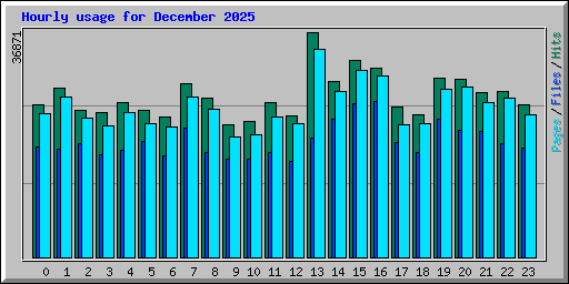 Hourly usage for December 2025