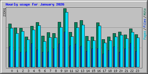 Hourly usage for January 2026