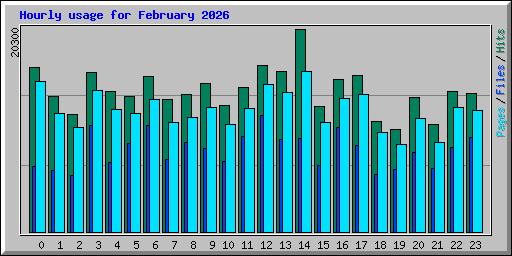 Hourly usage for February 2026