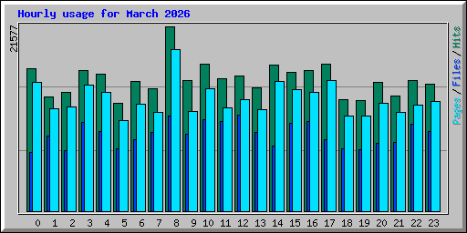 Hourly usage for March 2026