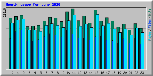 Hourly usage for June 2026