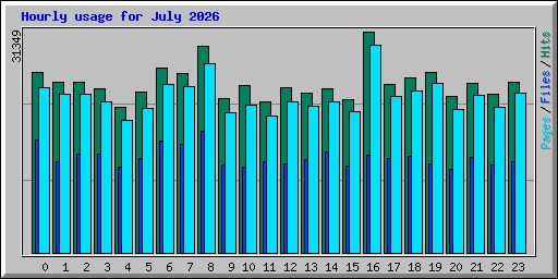Hourly usage for July 2026