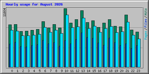 Hourly usage for August 2026